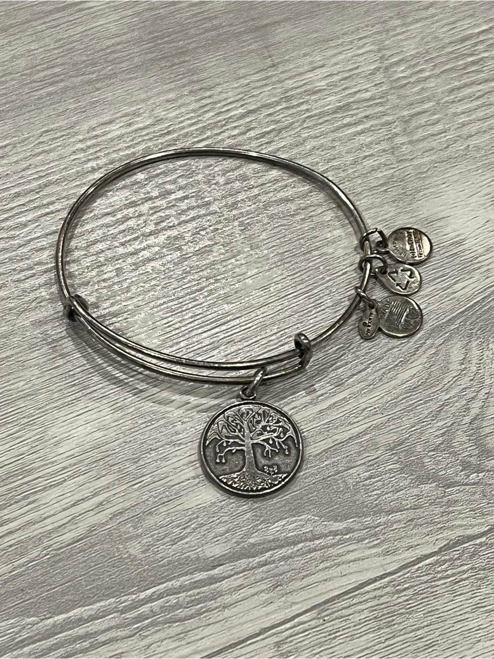 Alex and Ani Tree of Life Charm Bangle Bracelet in Silver Brass Tone